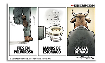 Descripción